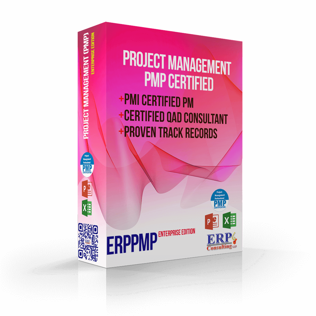 ERP Project Management Services PMP ERP Consulting LLP